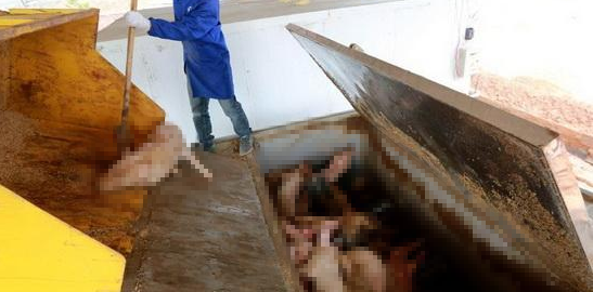 潔匠凈化·的凈工業除臭劑_動物無害化處理廠，惡臭異味危害大，工業除臭劑起作用！