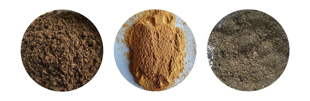 羽毛粉加工腥味、苦味、惡臭味混雜，看<a href='/' style='color: blue;' target='_blank'>工業除臭劑</a>如何快速除臭！.jpg