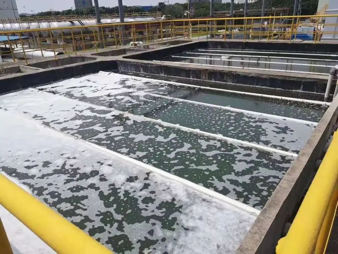 污泥到底是不是危廢?除臭處置是實現資源化利用的重要一環!.jpg 污泥到底是不是危廢?除臭處置是實現資源化利用的重要一環!.jpg