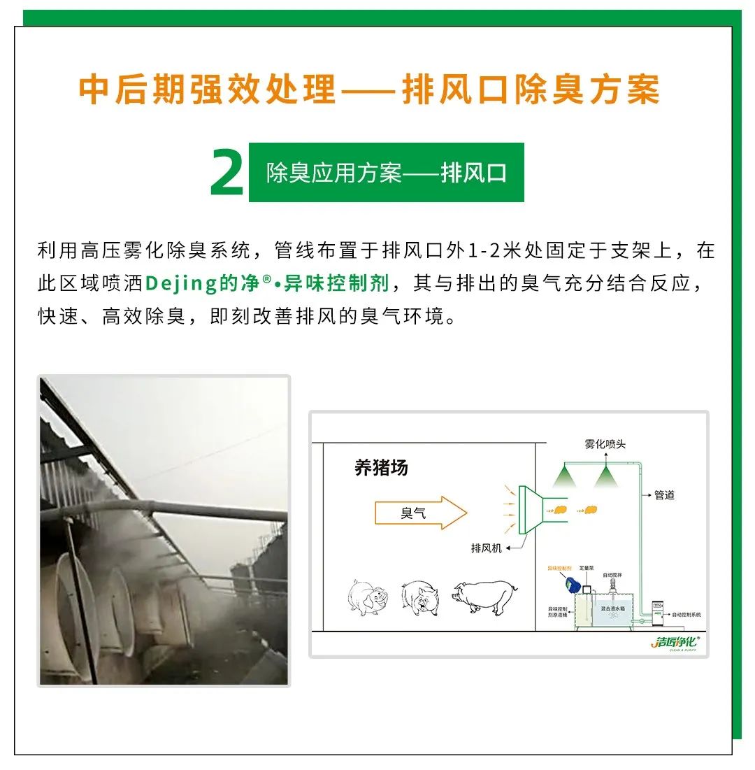 Dejing的凈養殖場除臭劑如何迅速清理養殖場臭味？.jpg